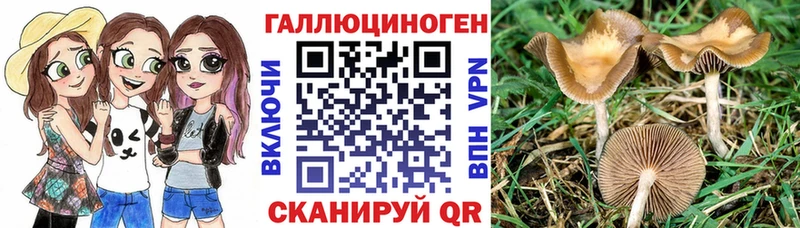 Псилоцибиновые грибы Psilocybe  omg зеркало  Талдом 